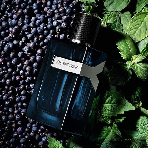 ysl y ingredients|yves saint laurent y.